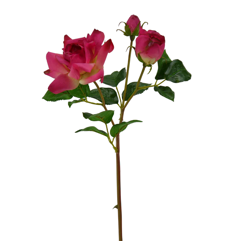 Rose, 54 cm - rot/pink x1/x2