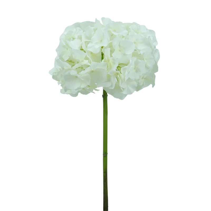 Hortensie, kurzer Stiel, 47 cm - weiß