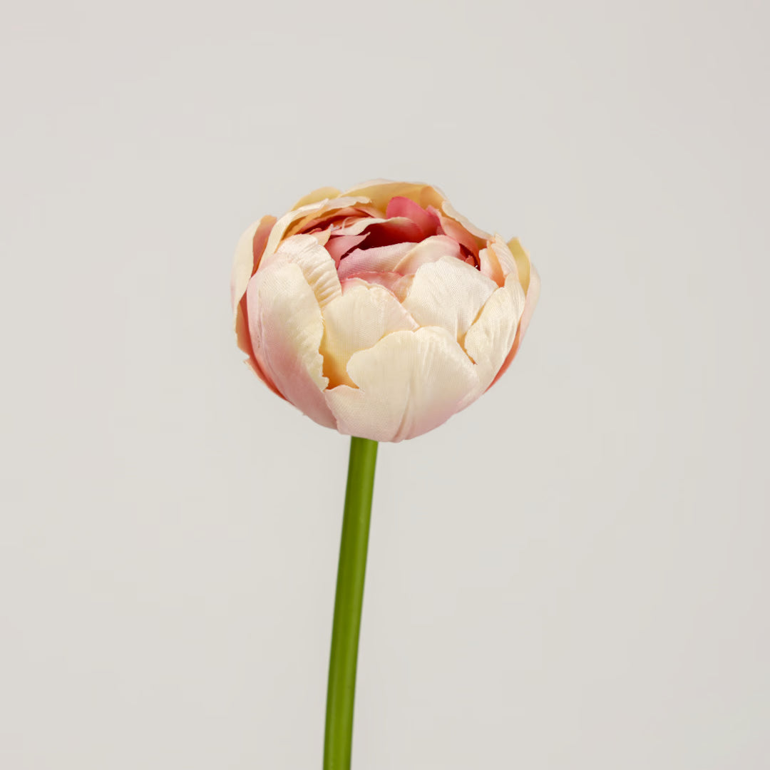 Tulpe, 43 cm - violett