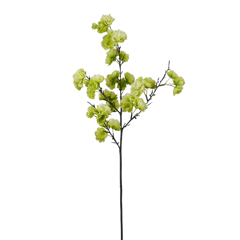 Kirschblüte, 90 cm - hellgrün