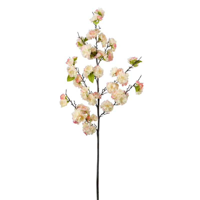 Kirschblüte, 135 cm - creme/rosa