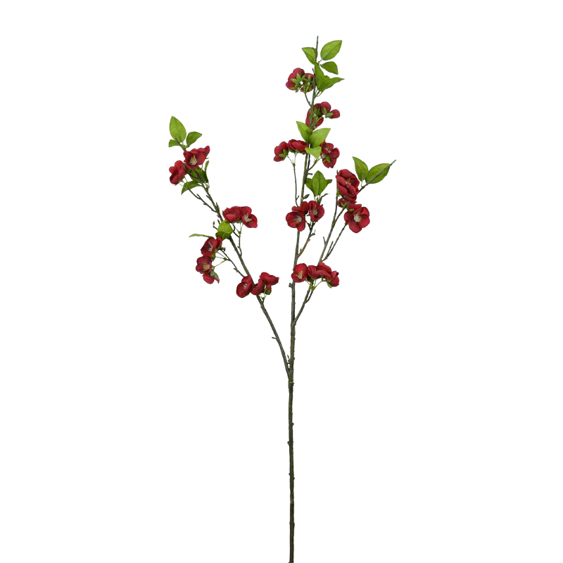 Pfirsichblüte, 100 cm - dunkelrot