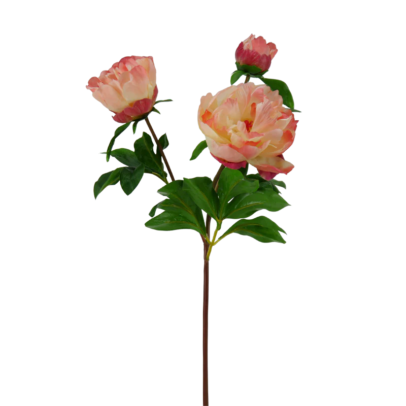 Pfingstrose, 63 cm - lachs/orange