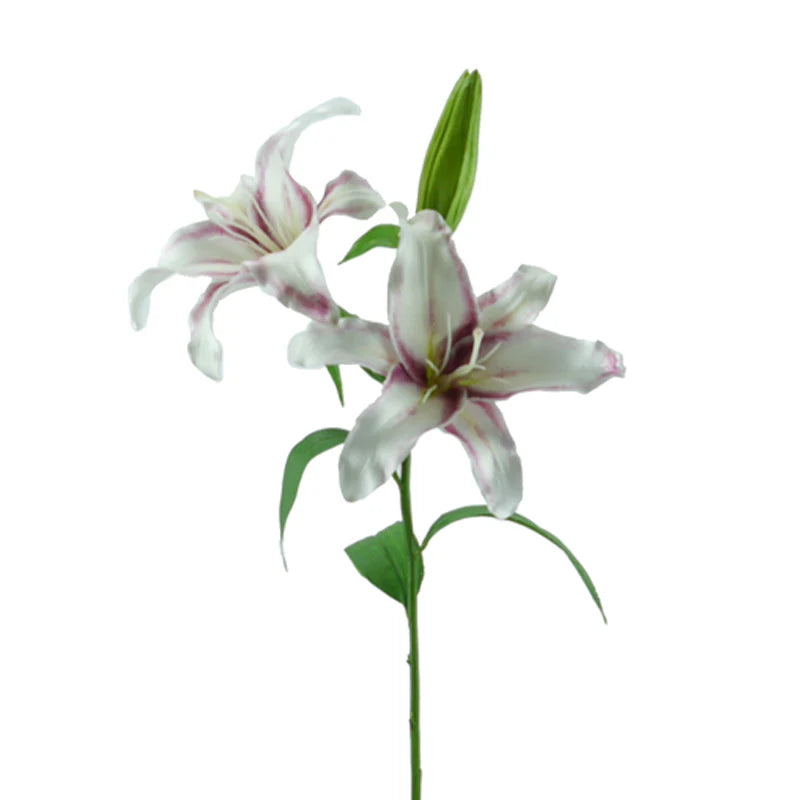 Lilie, 75 cm - lila/weiß
