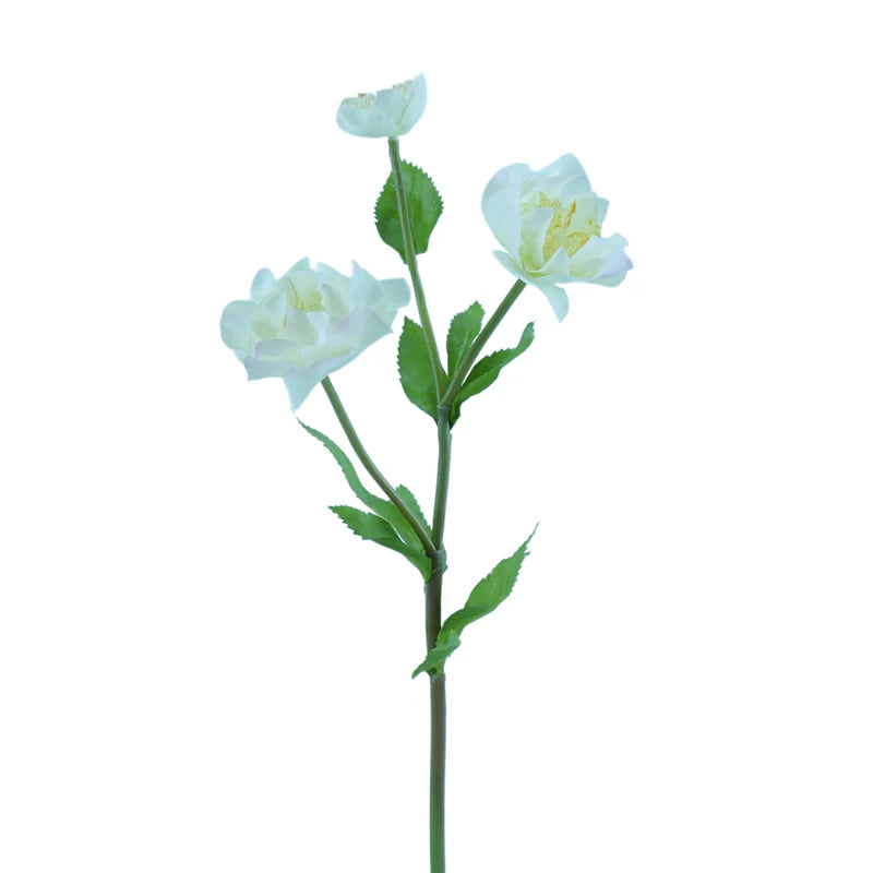 Christrose, 47 cm - creme x3