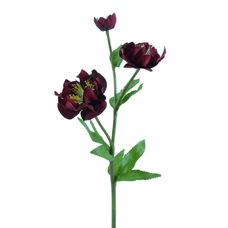 Christrose, 47 cm - rot x3