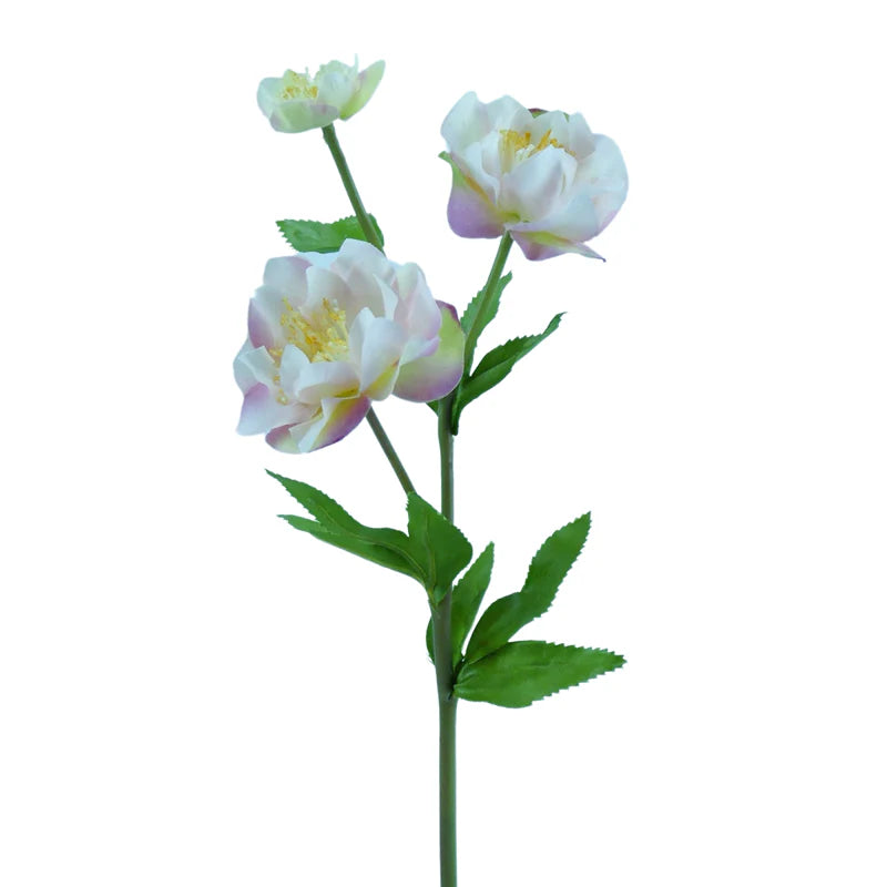 Christrose, 47 cm - grün/rosa x3