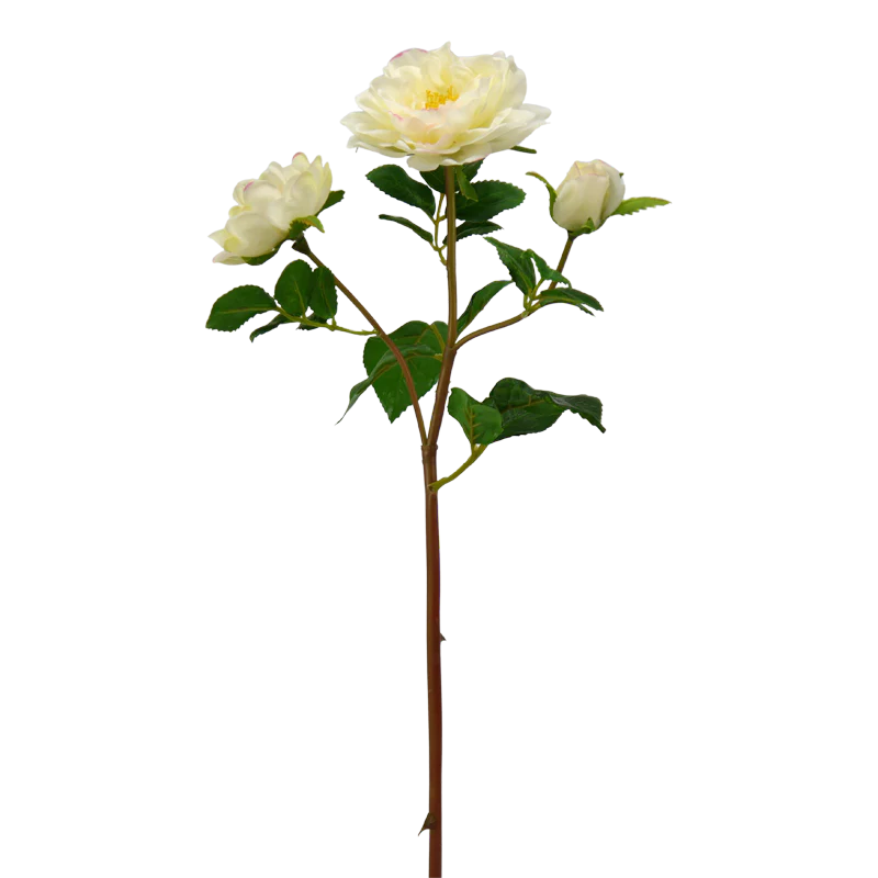 Rose Rüschen, 47 cm - creme