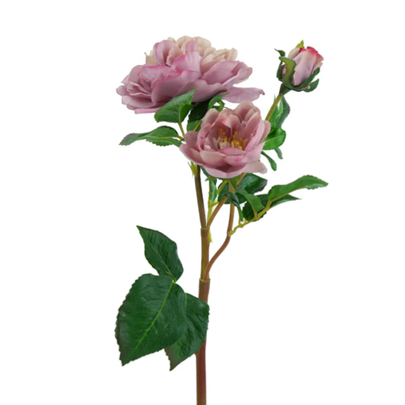 Rose Rüschen, 47 cm - lila x3
