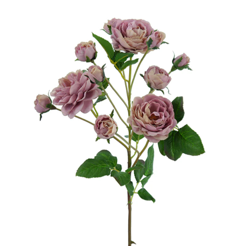 Rose mehrblütiger Ast, 51 cm - lila