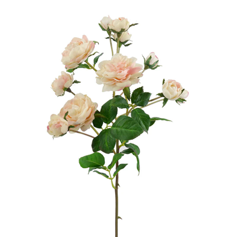 Rose mehrblütiger Ast, 51 cm - creme/rosa