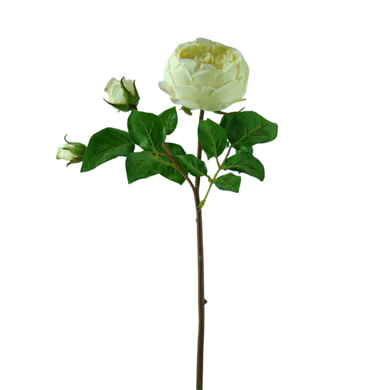 Rose englisch, kurzer Stiel, 55 cm - pink/weiß x3