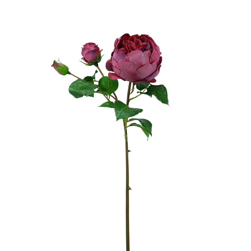 Rose englisch, kurzer Stiel, 55 cm - pink/grün x3