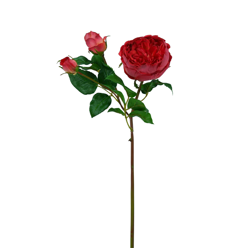 Rose englisch, kurzer Stiel, 55 cm - rot/creme x3