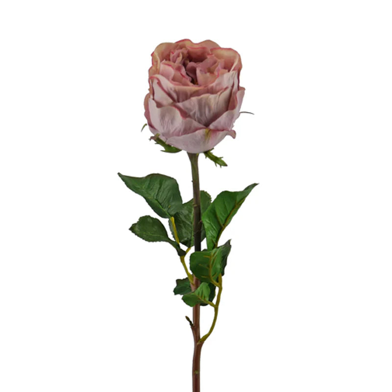 Rose gefüllt, kurzer Stiel, 54 cm - lila
