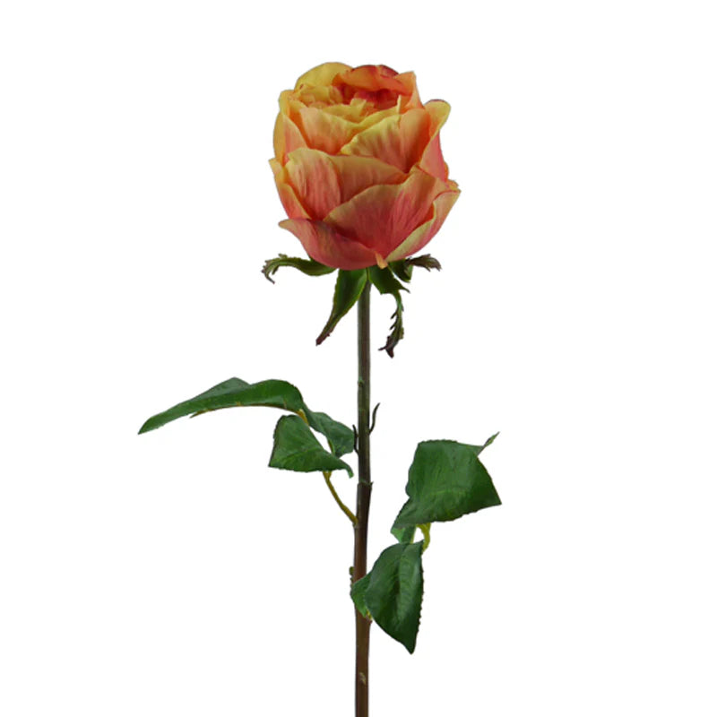 Rose gefüllt, kurzer Stiel, 54 cm - gelb/pink