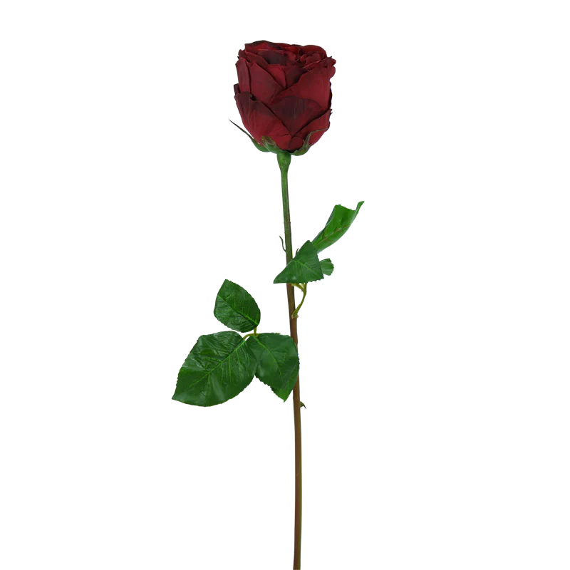 Rose gefüllt, kurzer Stiel, 54 cm - dunkelrot