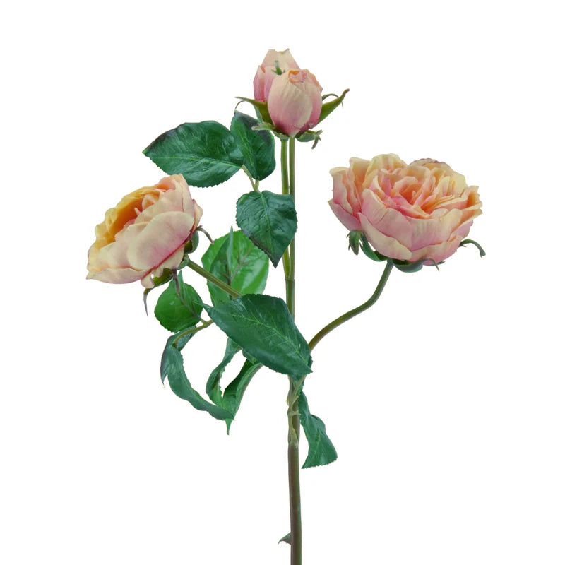 Rose englisch, 55 cm - gelb/rosa x4