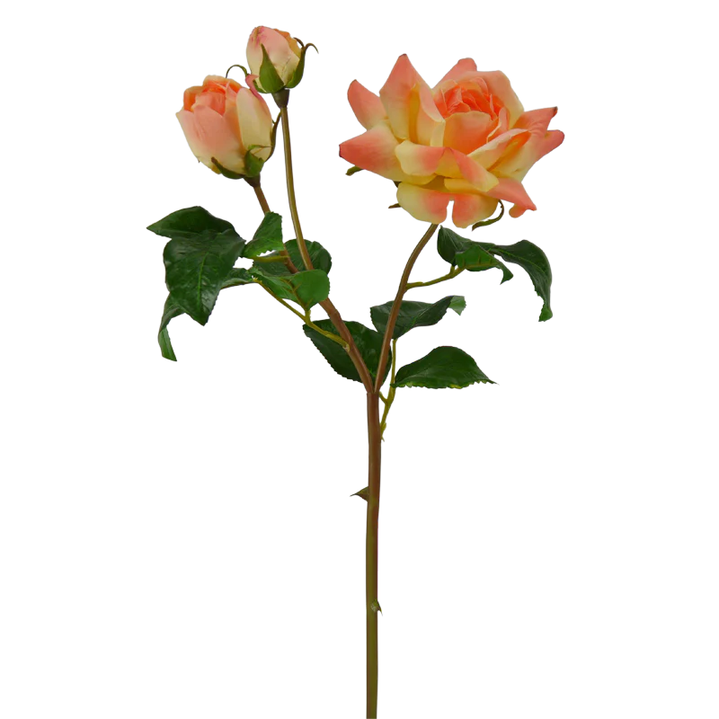 Rose, 54 cm - orange x1/x2