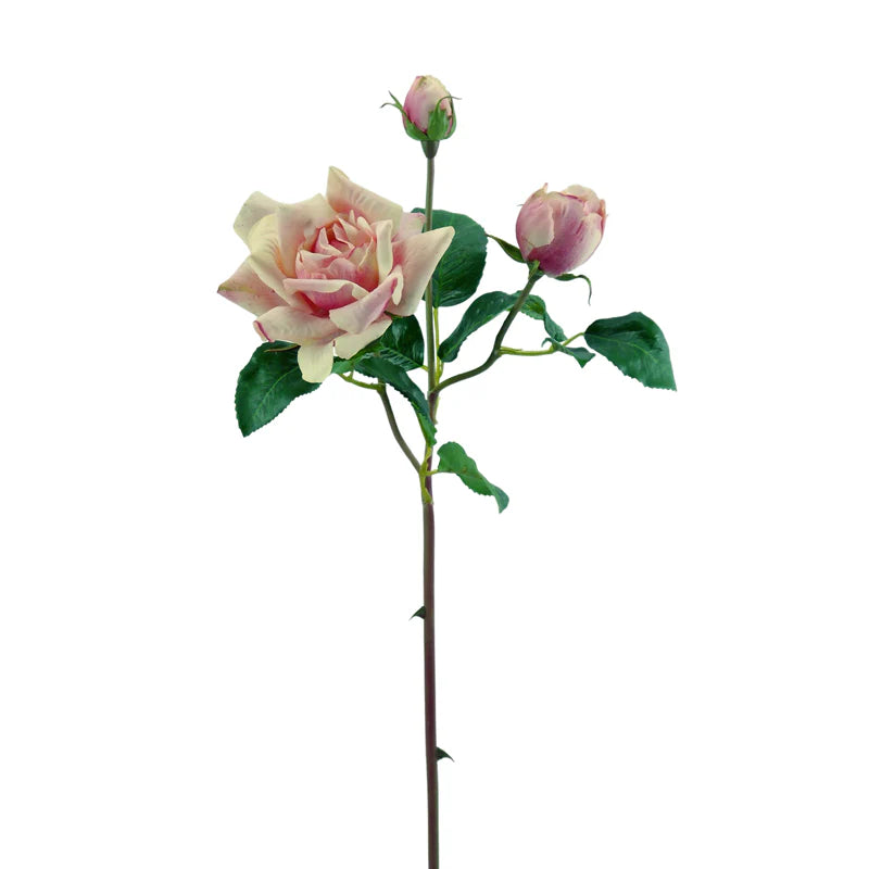 Rose, 54 cm - lachs/pink x1/x2