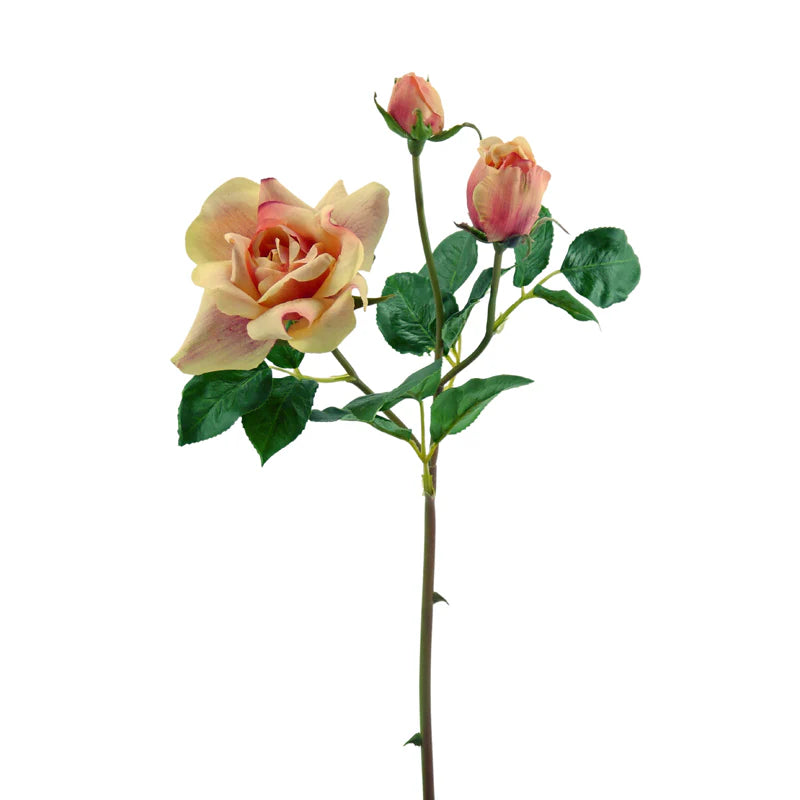 Rose, 54 cm - lachs/gelb x1/x2