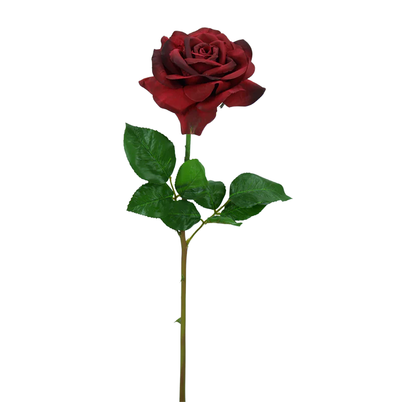 Rose offen, kurzer Stiel, 50 cm - dunkelrot