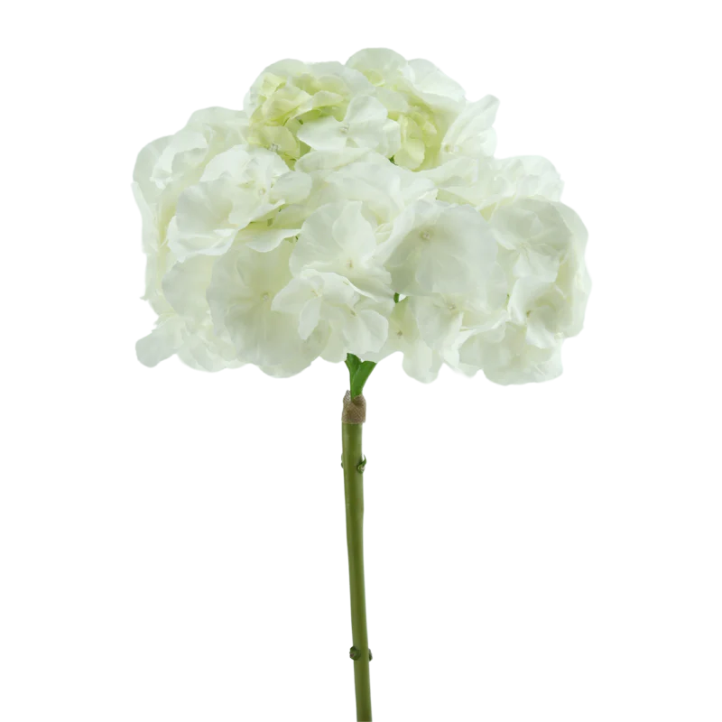 Hortensie, 54 cm - weiß