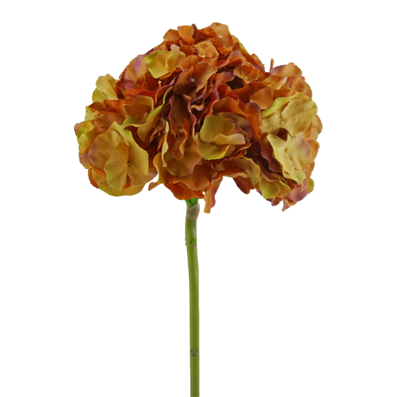 Hortensie, 54 cm - orange/braun