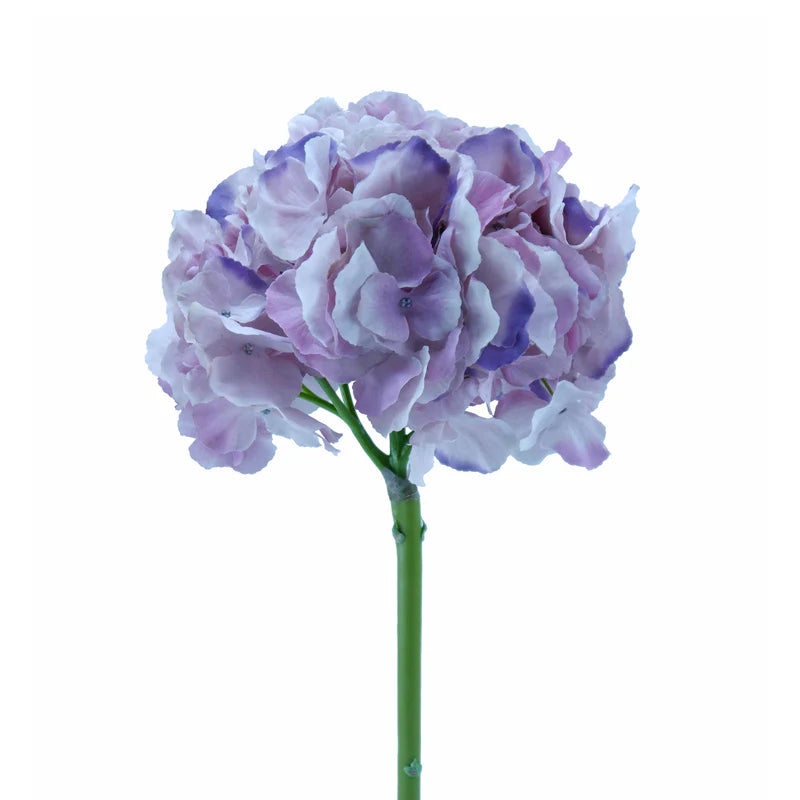 Hortensie, 54 cm - creme/rosa