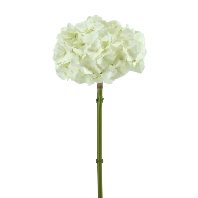 Hortensie, 47 cm - weiß