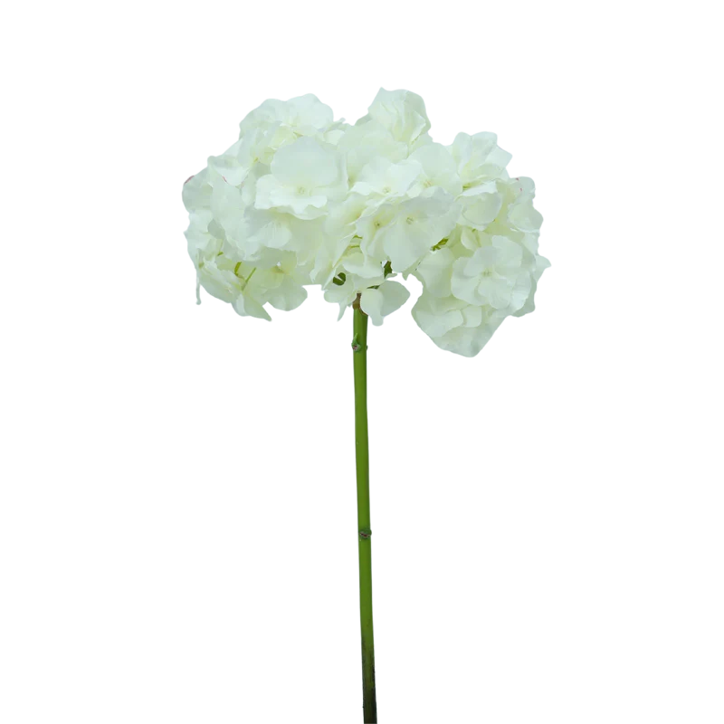 Hortensie, kurzer Stiel, 47 cm - creme