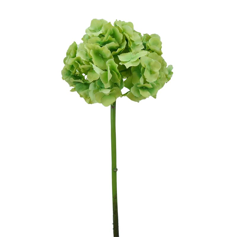 Hortensie, kurzer Stiel, 47 cm - grün
