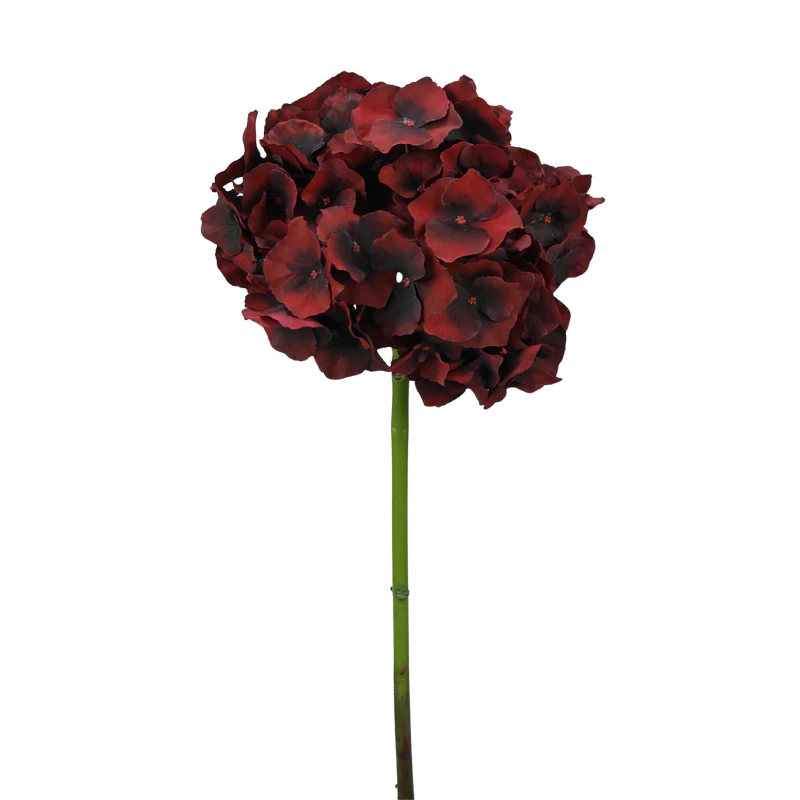 Hortensie, kurzer Stiel, 47 cm - dunkelrot