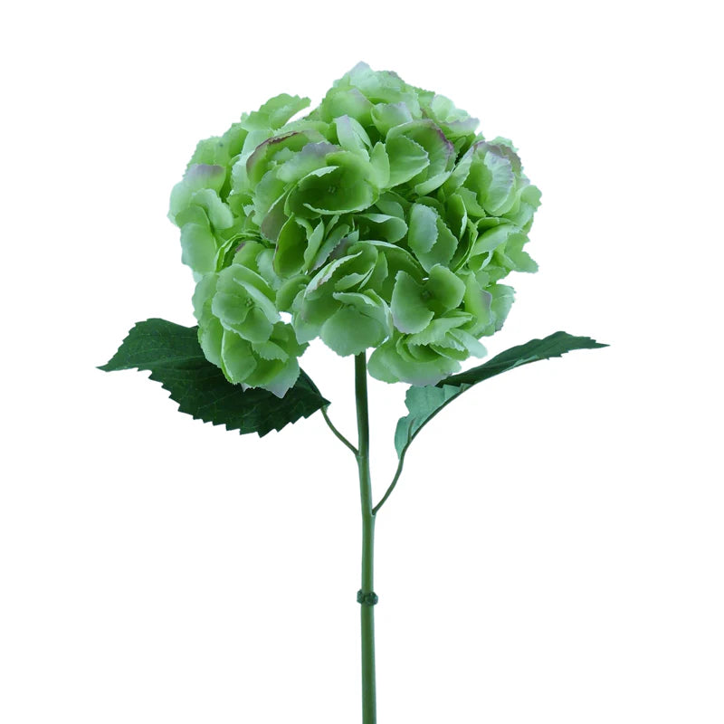 Hortensie, mit Blätter, 68 cm - hellgrün