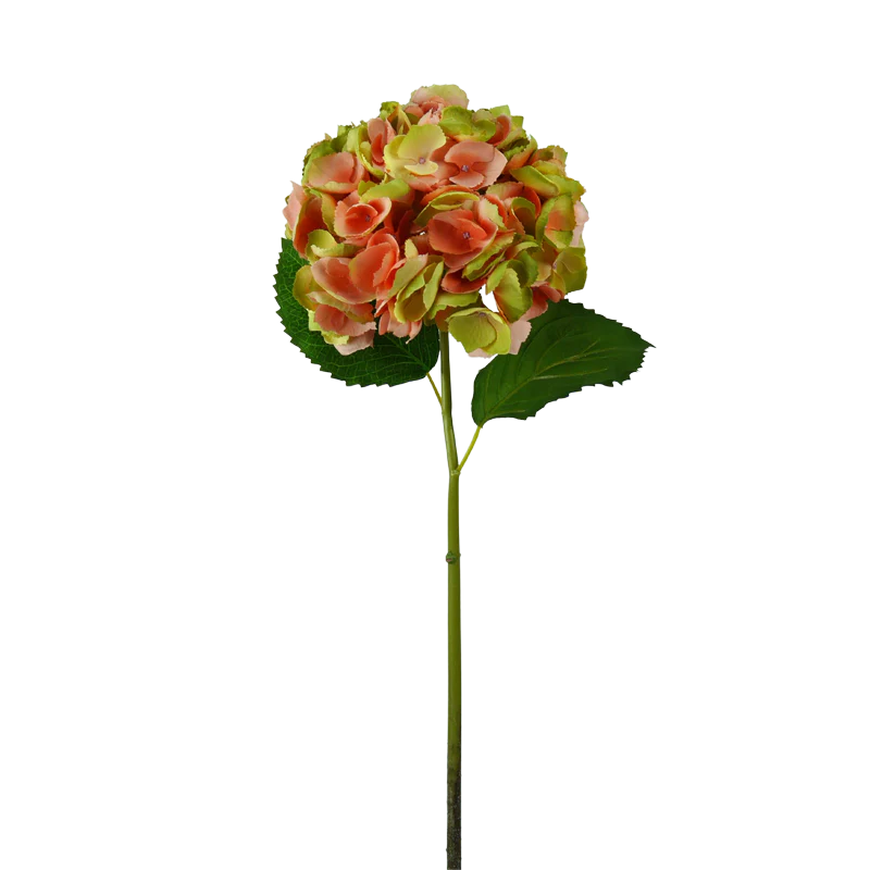 Hortensie, mit Blätter, 68 cm - orange/grün