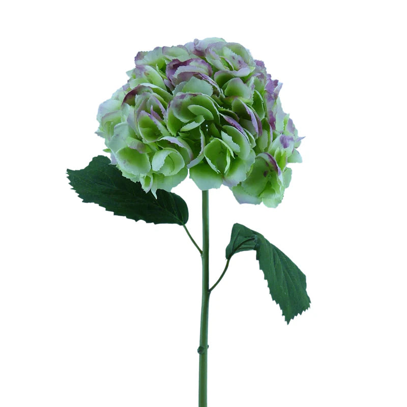 Hortensie, mit Blätter, 68 cm - grün/pink