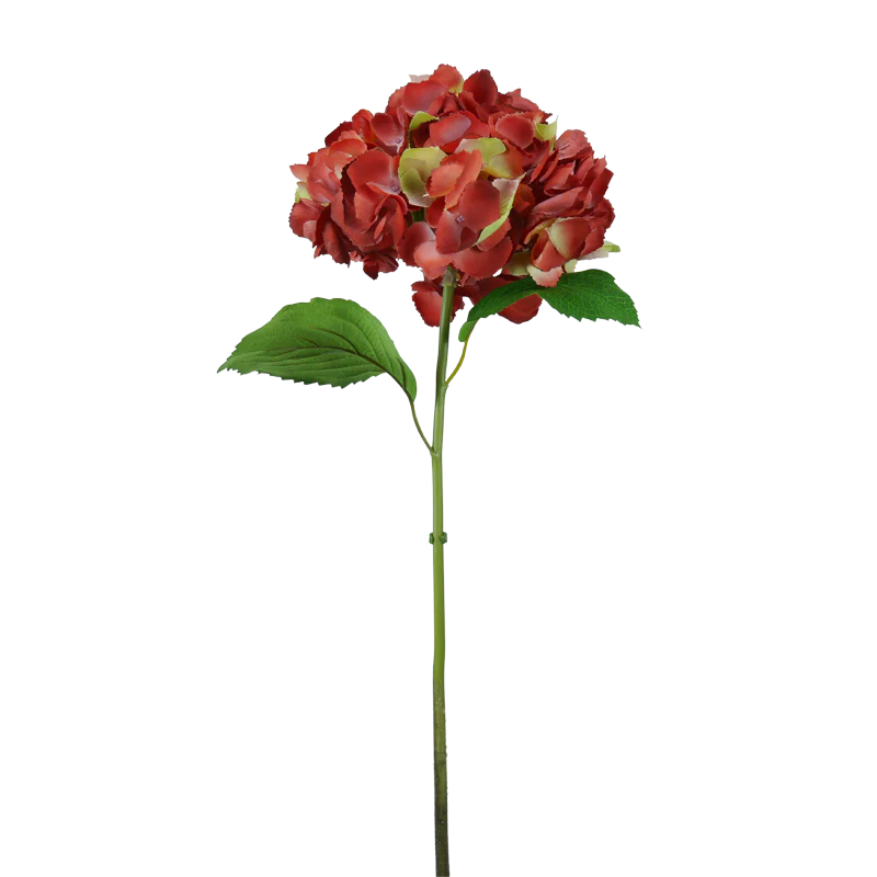 Hortensie, mit Blätter, 68 cm - rot/grün