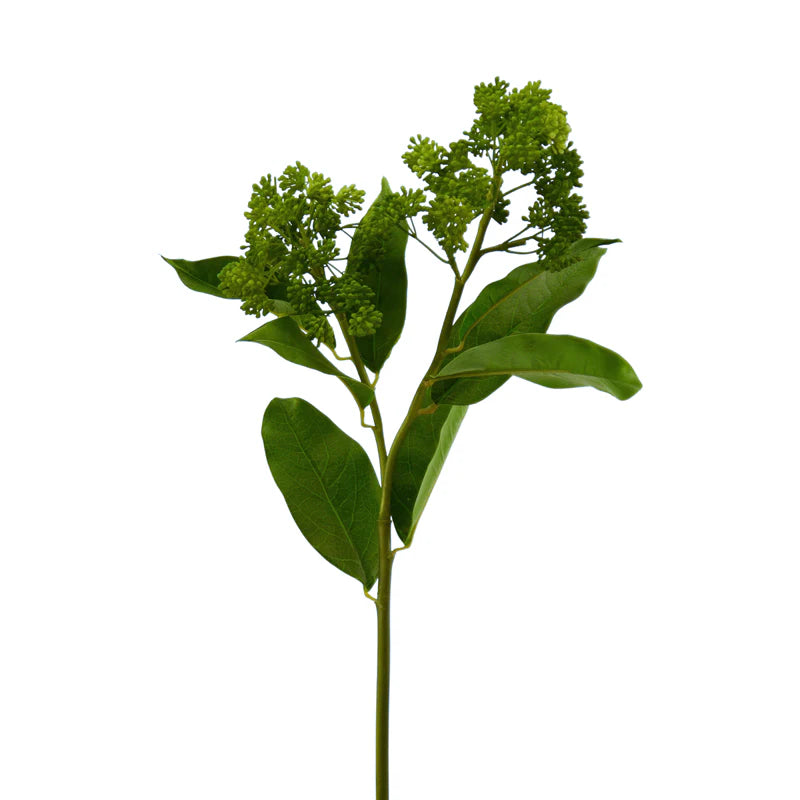 Hortensie, 64 cm - grün