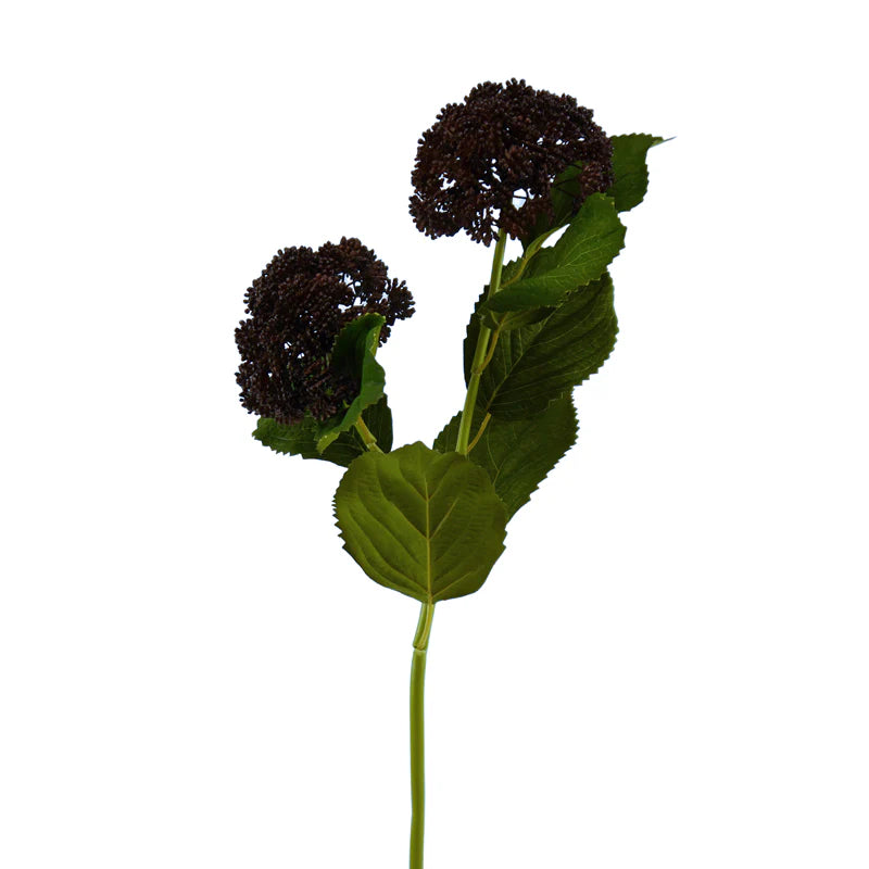 Hortensienknospenast mit Blättern, 64 cm - braun
