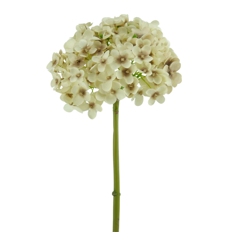 Hortensie, kurzer Stiel, 47 cm - altrosa
