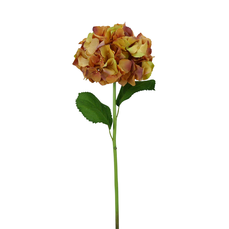 Hortensie, mit Blätter, 65 cm - orange/braun