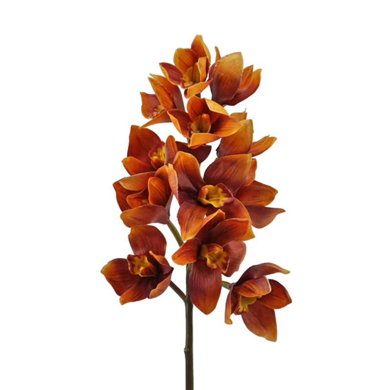 Orchidee Cymbidium, 58 cm - orange/braun