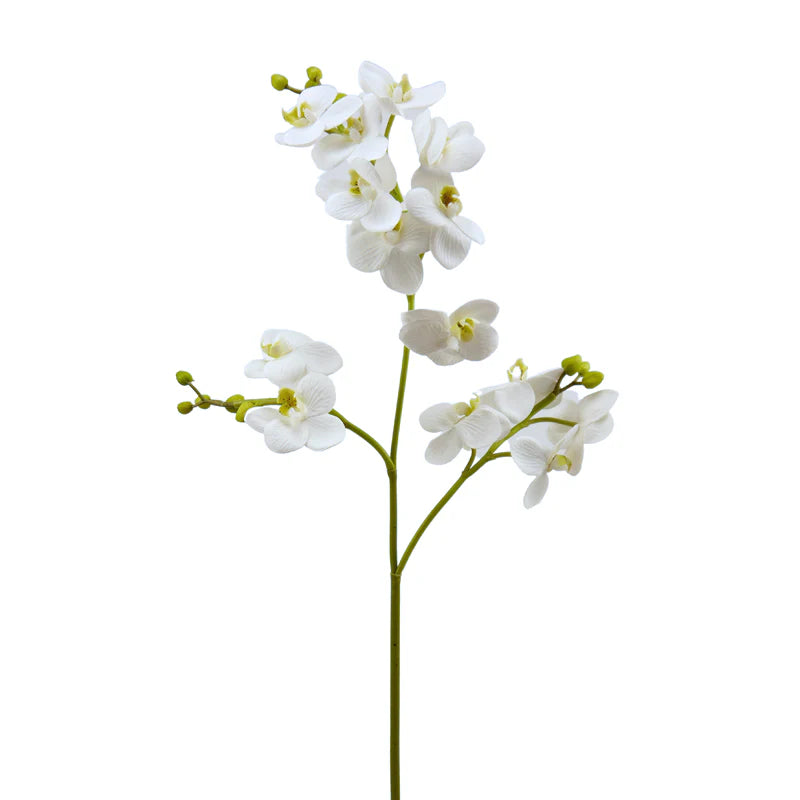 Orchidee Phalaenopsis, 82 cm - weiß