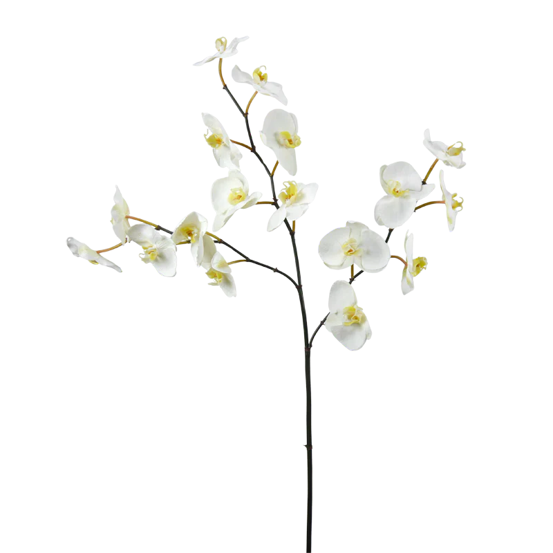 Orchidee Phalaenopsis, 110 cm - weiß