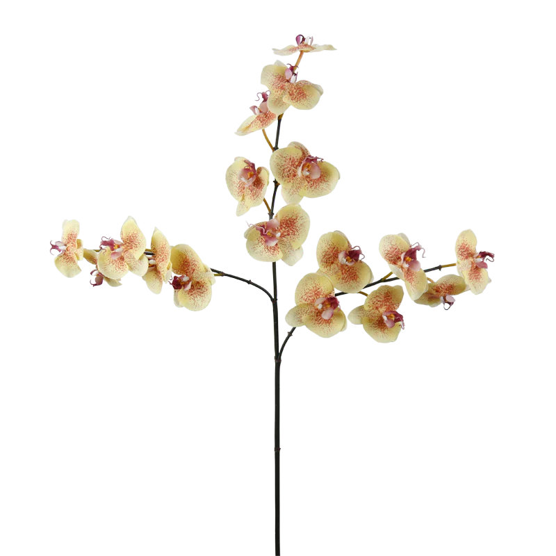 Orchidee Phalaenopsis, 110 cm - braun
