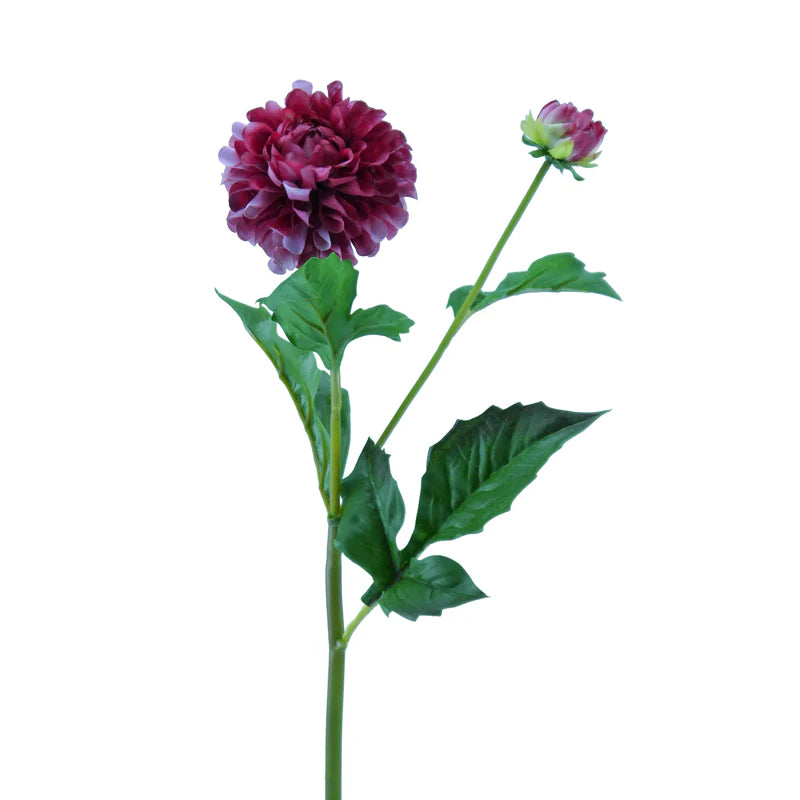 Dahlie, Pompon, 51 cm - pink x2