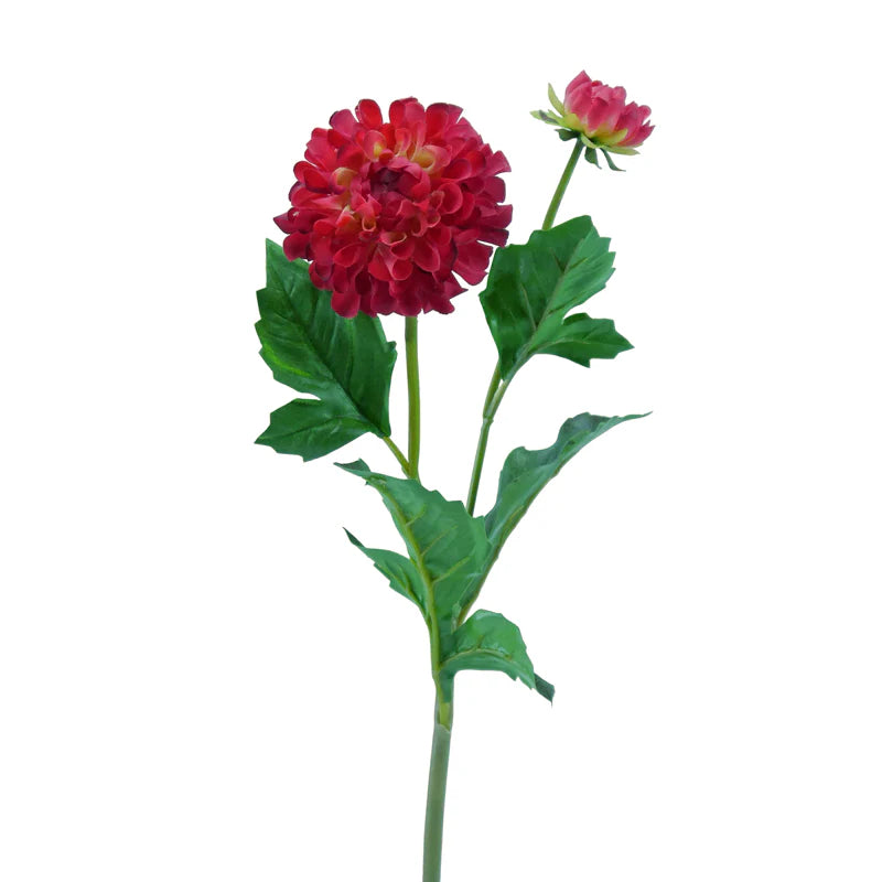 Dahlie, Pompon, 51 cm - gelb/rot x2