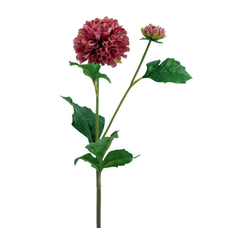 Dahlie, Pompon, 51 cm - pink/creme x2