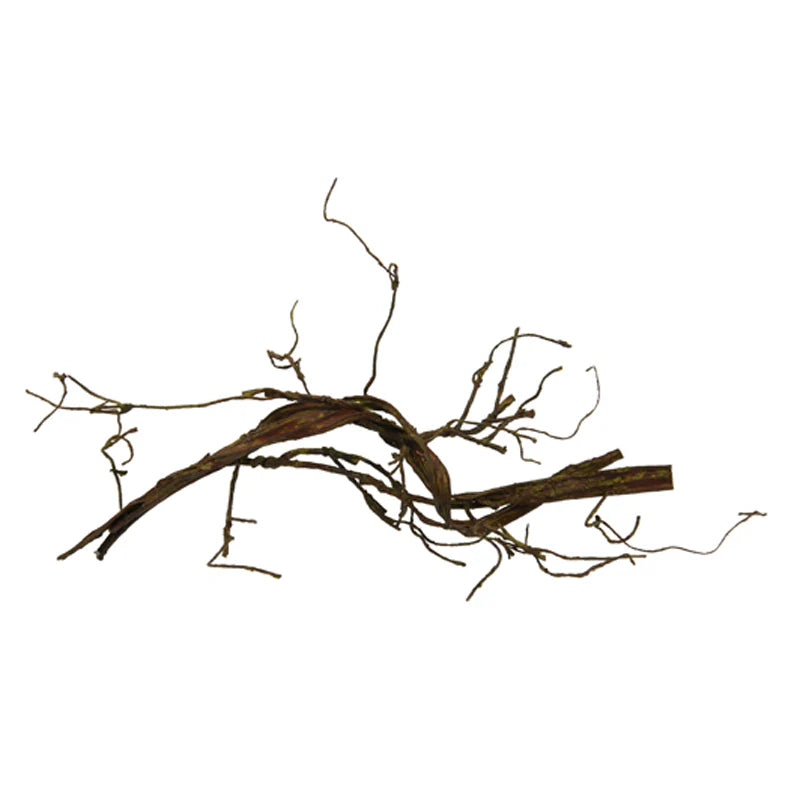 Wurzelast, 60 cm - braun