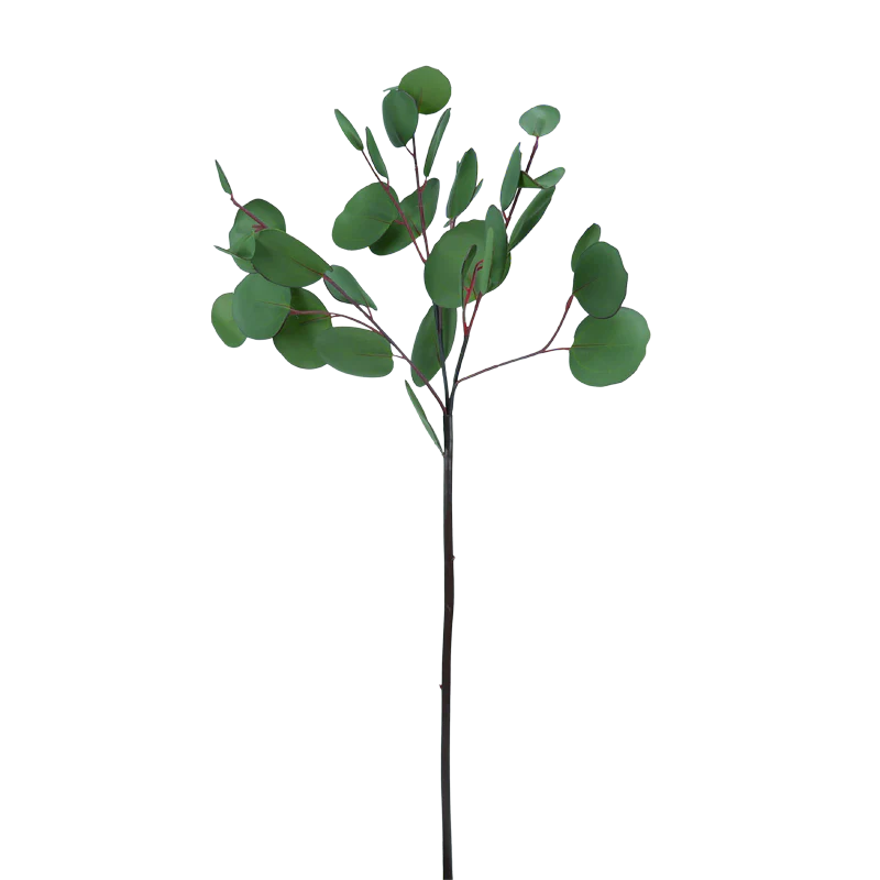 Eukalyptusblätter rund, 65 cm - grün